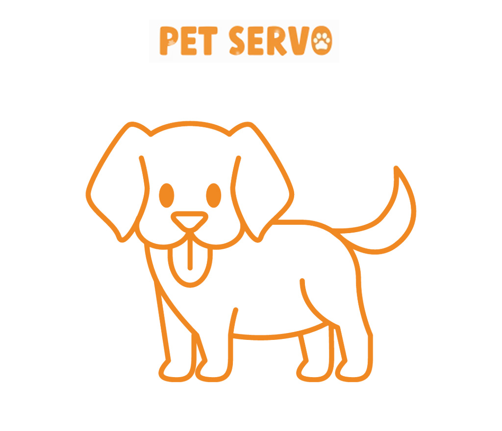 Dog Products Online Pet Shop | Food, Bowls, Leashes, Treats, beds and more