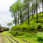 Summer Hill Travel Guide and Tourism in Shimla, Himachal Pradesh