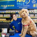 PetO | Australia Largest Dog and Cat Store- Pet Store