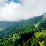 Churdhar Wildlife Sanctuary  Travel Guide and Tourism in Sirmaur, Himachal Pradesh