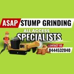 Tree and Stump Removal Gold Coast