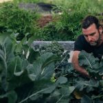 Best Organic Fertilisers