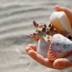 A Complete Overview of NDIS Services in Sunbury: Providers, Plans & More