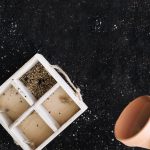 Why Gardeners Prefer Slow Release Organic Fertiliser for Long-Term Soil Health