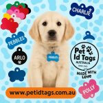 Why Aluminium Pet Tags Are a Smart Choice for Your Pet’s Safety