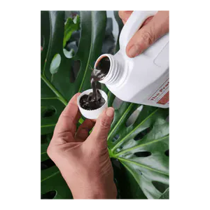 Why Gardeners Trust Soil Dynamics Organic Fish Fertiliser