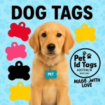 Why Every Pup Needs a Personalized Dog Name Tag