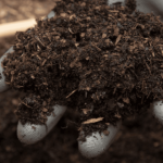 Slow Release Organic Fertiliser by Soil Dynamics for Sustainable Growth