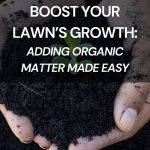 Best Organic Lawn Fertiliser for Greener Lawns – Soil Dynamics