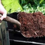 Why Choose Slow Release Organic Fertiliser for Your Garden?