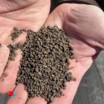 Organic Lawn Fertiliser: Eco-Friendly Care for Your Lawn