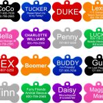 Why a Personalised Dog Harness is the Perfect Choice for Safer Walks