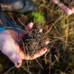 How Organic Liquid Fertilisers Can Boost Your Garden Naturally