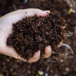 Organic Fertiliser for Sale – Eco-Friendly Farming with Soil Dynamics