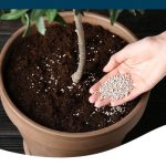 How Organic Fertiliser in Australia Helps You Grow Healthier Plants Naturally
