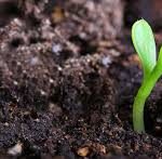 Buy the Best Organic Fertiliser for Sale in Australia – Boost Your Garden the Natural Way Buy the Best Organic Fertiliser for Sale in Australia – Boost Your Garden the Natural Way