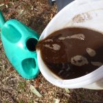 Why Choosing Certified Organic Fertiliser Makes a Real Difference for Your Garden