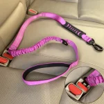 Why Every Dog Needs a personalised Dog ID Tag