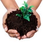 Rock Dust Fertiliser for Long-Term Soil Health