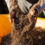 Organic Slow Release Fertiliser in Australia: A Smarter Way to Feed Your Garden