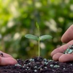 How Slow Release Organic Fertiliser Supports Long-Term Soil Performance