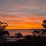 The Ultimate Jervis Bay Travel Guide: Everything You Need to Know Before You Visit