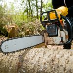Tree Services in Canberra