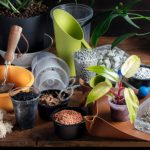 Discover Premium Organic Fertilisers Australia for Sustainable Gardening