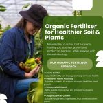 Spring Vegetable Fertiliser Guide for Australian Gardens