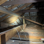 Rodent proofing mount druitt
