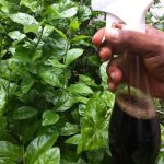 How Does Soil Fertiliser Improve Soil Health and Crop Growth?