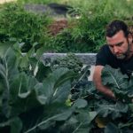 Premium Organic Liquid Fertiliser in Australia
