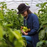 Grow Naturally with Slow Release Organic Fertiliser