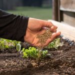 Boost Your Indoor Plant Growth with Premium Fertilisers