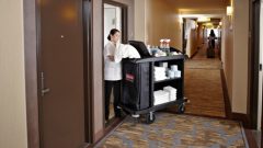 India Hospitality Industry Report Analysis