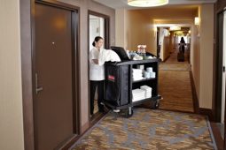 India Hospitality Industry