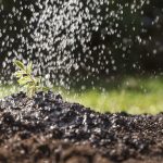 Discover the Benefits of Organic Liquid Fertiliser | Soil Dynamics