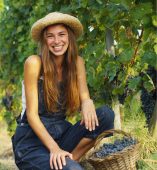 Organic Slow Release Fertiliser in Australia