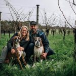 Boost Your Garden Naturally with Slow Release Organic Fertiliser