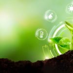 Enhance Soil Health with Soil Dynamics Organic Fertiliser Australia