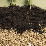 Boost Soil Health Naturally with Soil Dynamics Organic Slow Release Fertiliser