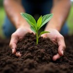 Premium Organic Fertiliser for Sale | Natural Soil Solutions by Soil Dynamics